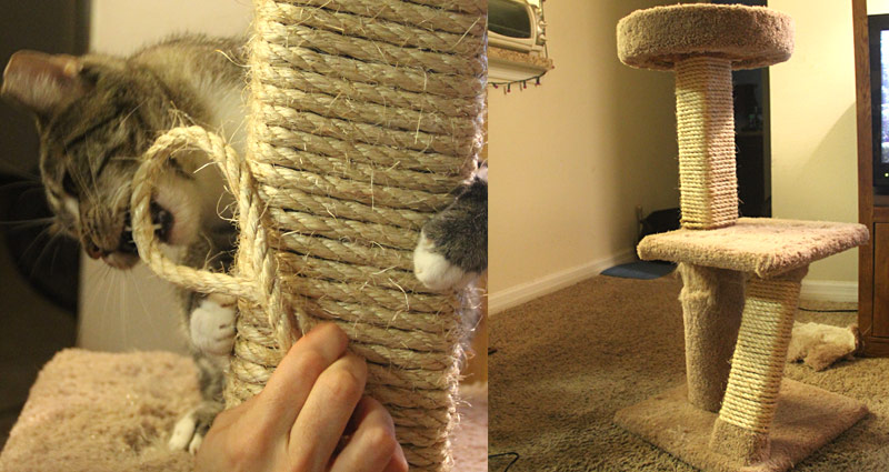 5 Quick Steps to Replacing Old Sisal Rope on a Cat Tree